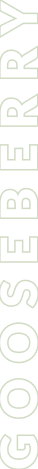 Gooseberry Vertical Text